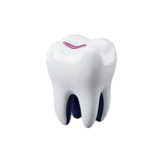 Molar 3D